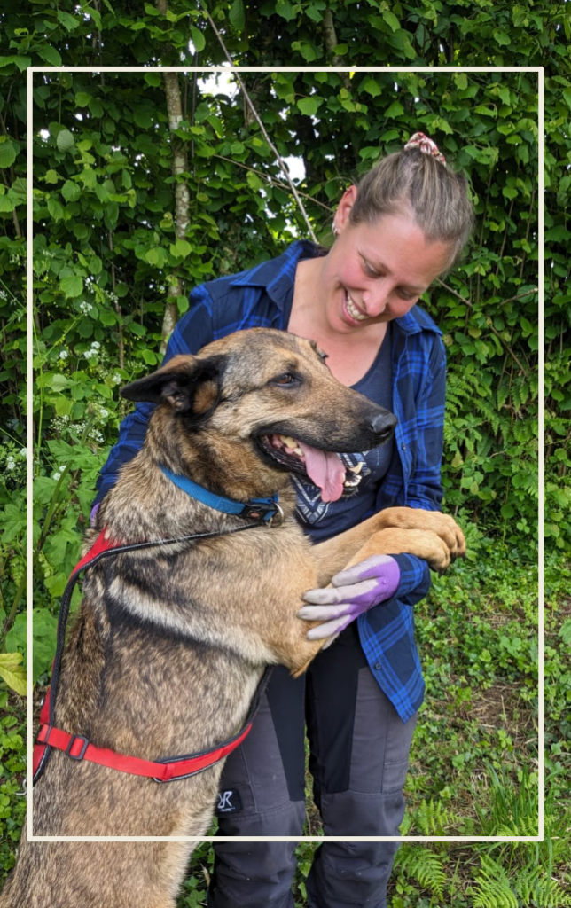 mantrailing chien humain heureux